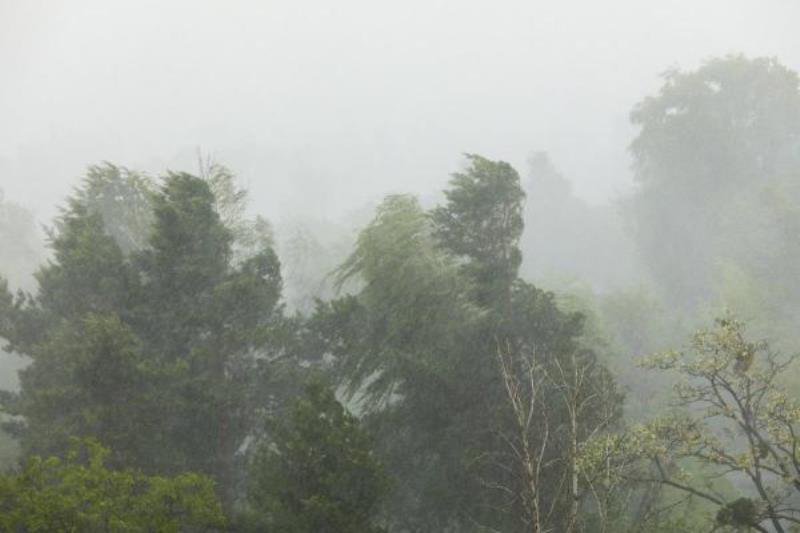 Meteorologii au emis o avertizare de vijelii puternice, grindină și averse torențiale