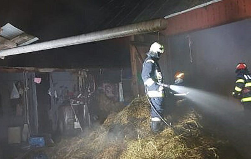 A vrut să scape de purici, dar și-a incendiat adăpostul de animale