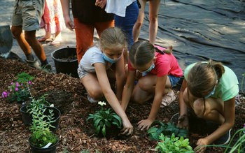 Activităţile la Casa George Enescu …