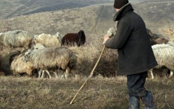 Soți botoșăneni ajunși la spital …