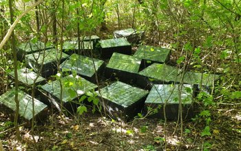 Focuri de armă pentru oprirea …