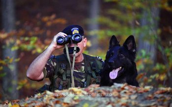 420 de posturi vacante scoase …