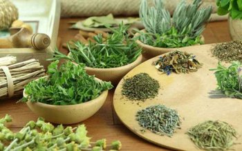 Plante care ne readuc pofta …