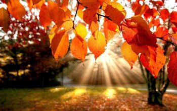 Temperaturile cresc brusc în acest …