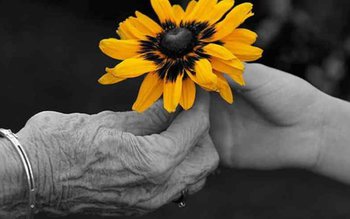 Mesajul prefectului Dan Nechifor cu …