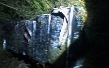 Peste 12.000 de pachete de …