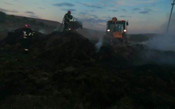 250 de tone de furaje …