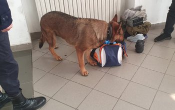 S-a prezentat la controlul de …