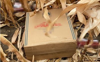 Contrabandist reţinut de către poliţiştii …