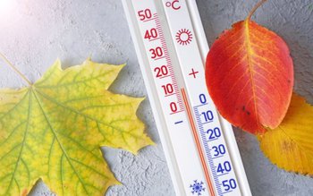 Vremea se schimbă! Temperaturile cresc …