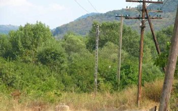 Tineri cercetați după ce au …