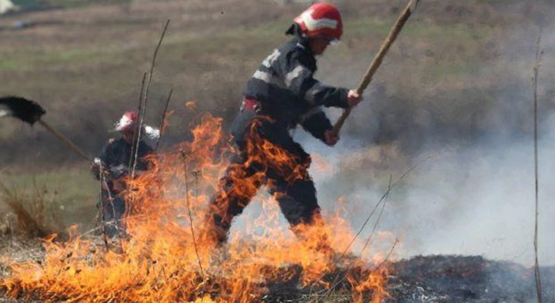 Patru incendii de vegetație uscată în mai puțin de patru ore