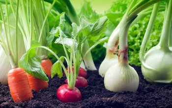 Ce proprietăți trebuie să aibă, …