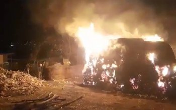 Șase tone de furaje au …