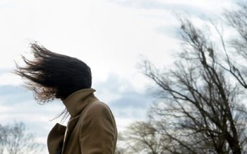 Cod Galben de vânt pentru …