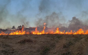 Opt incendii înregistrate în ultimele …
