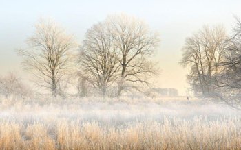 Alertă meteo: Ciclonul din Marea …