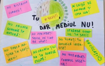 Mii de elevi și sute …