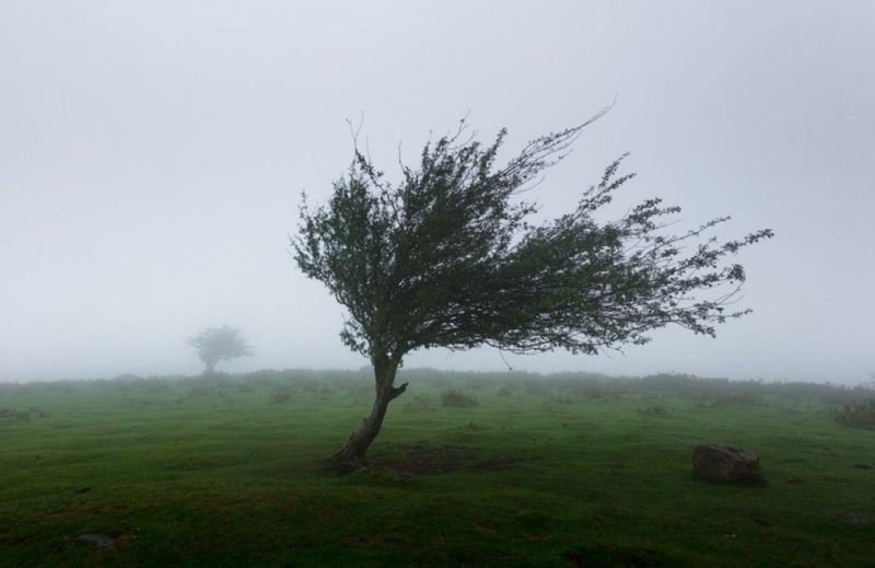 Meteorologii au emis o informare meteo de vânt și ninsori la altitudini mari