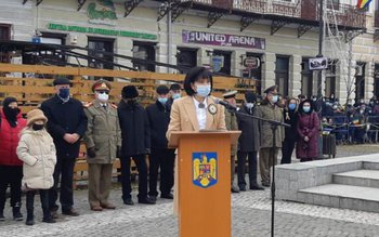 Doina Elena Federovici, președintele CJ …