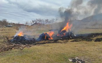 Trei tone de furaje mistuite …