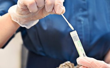 Anunț pentru românii care merg …