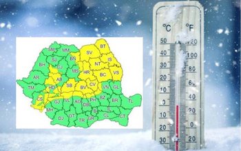 Cod galben de ninsori în …