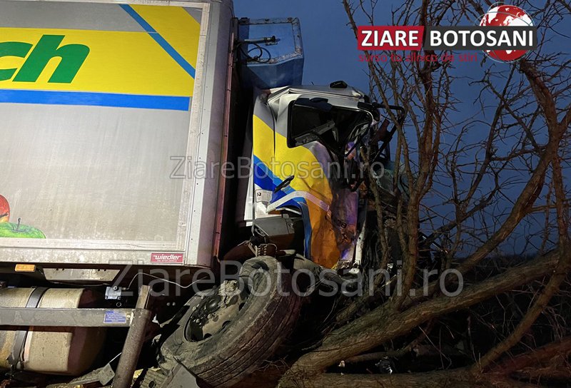 Accident pe DN Dorohoi - Darabani! Un camion s-a izbit într-un copac de pe marginea drumului - FOTO