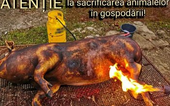 Sfaturi de la pompieri pentru …