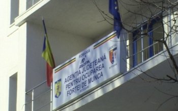 Peste 5000 de persoane angajate …