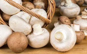 Greşeala făcută de toţi românii! …