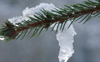 ANM anunță temperaturi anormale pentru …