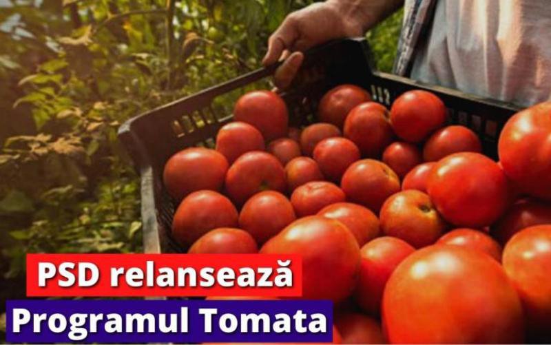 Lucian Trufin: „Relansarea Programului Tomata - Sprijin concret și predictibilitate pentru legumicultorii botoșăneni!”