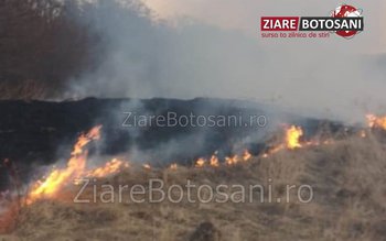 Incendiu de vegetație izbucnit la …