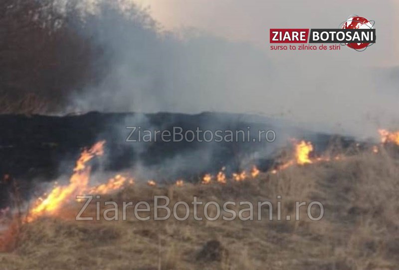 Incendiu de vegetație izbucnit la Văculești. Pompierii dorohoieni au intervenit de urgență - FOTO