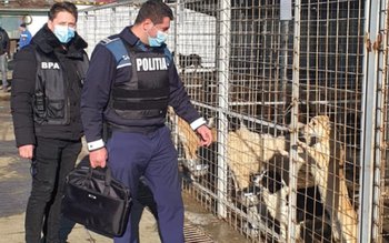 Controale efectuate de polițiștii din …