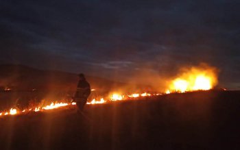 Se înmulțesc incendiile de vegetație …