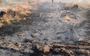 24 de incendii într-o singură …