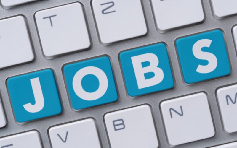554 locuri de muncă vacante, prin AJOFM, pe piața muncii din județul Botoșani
