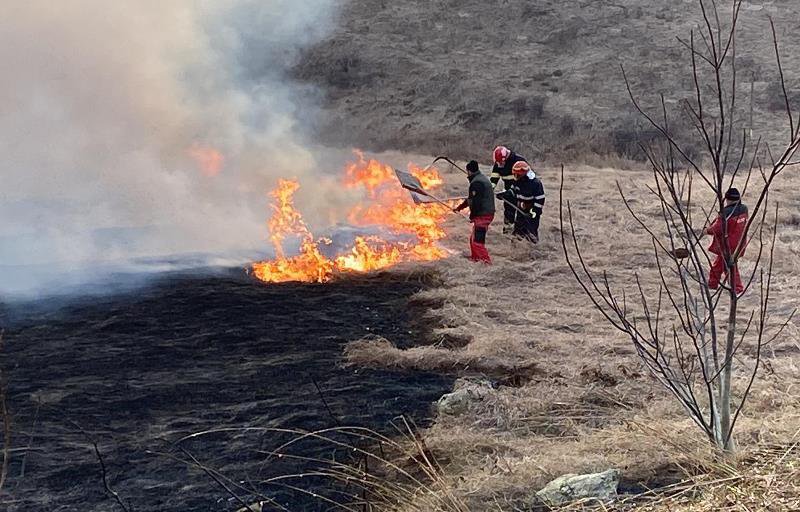 Incendiu de vegetație uscată în zona Cornișa de la marginea municipiului Botoșani - FOTO