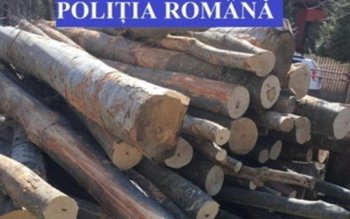 Amenzi de 6000 lei aplicate …