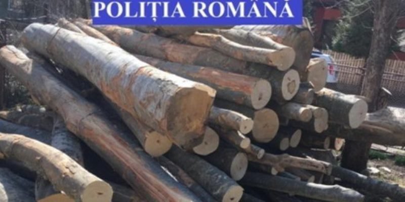 Amenzi de 6000 lei aplicate de polițiștii din Dorohoi pentru comercializare de material lemnos
