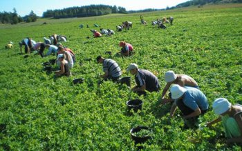 Zeci de locuri de muncă …