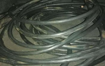 Tineri surprinși de polițiști în …