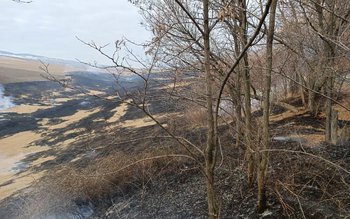 30 hectare de vegetație distruse …