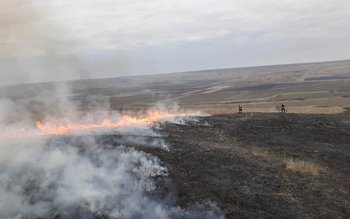 Două hectare de vegetație uscată …