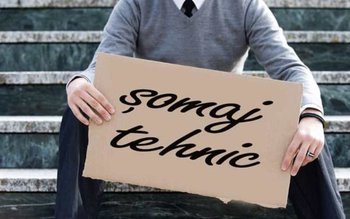 AJOFM Botoșani: Detalii referitoare la …