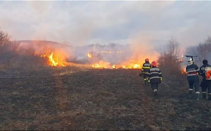 Cadavru descoperit de pompierii din Darabani după stingerea unui incendiu de vegetaţie uscată