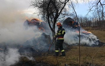 Cinci stive de furaje și …