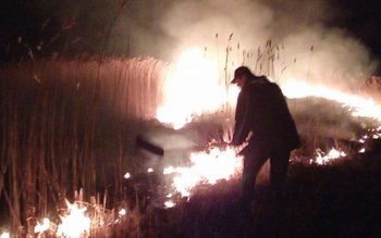 Incendiile de vegetație iau amploare …